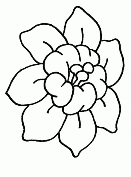 colorear flores (45).gif