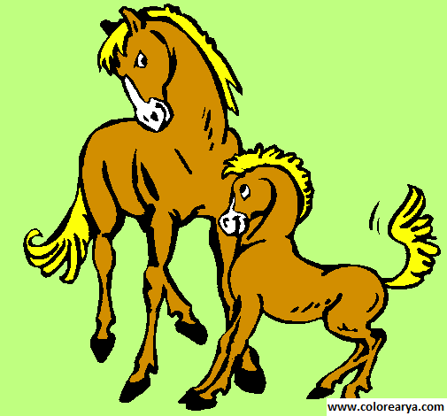 colorear caballo (2).png