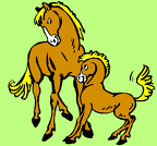colorear caballo (2)
