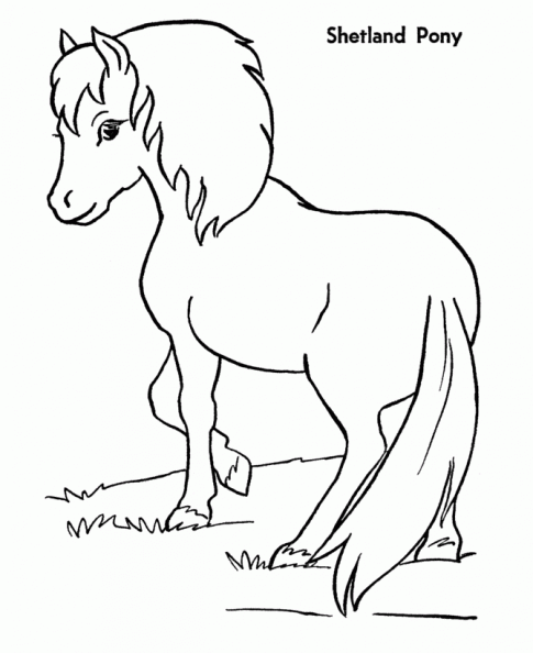 colorear caballo (7).gif