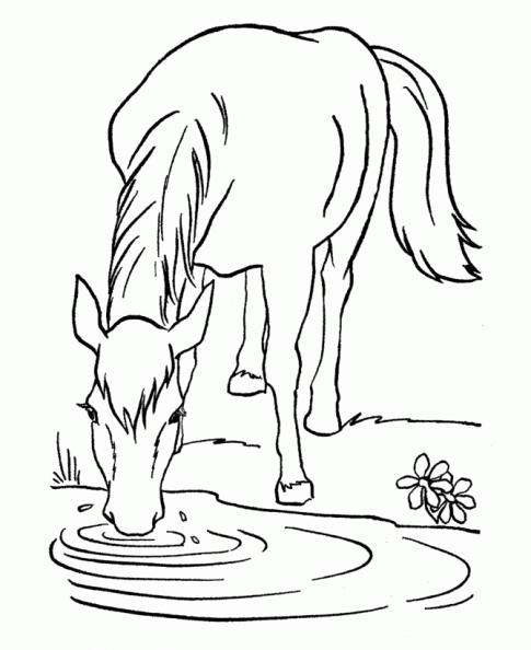 colorear caballo (8).gif