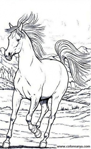 colorear caballo (18).jpg