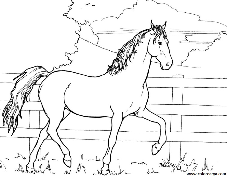colorear caballo (24).jpg