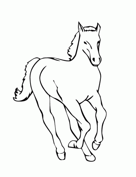 colorear caballo (25).gif