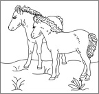 colorear caballo (28)