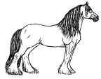 colorear caballo (36)