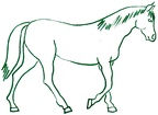 colorear caballo (39)