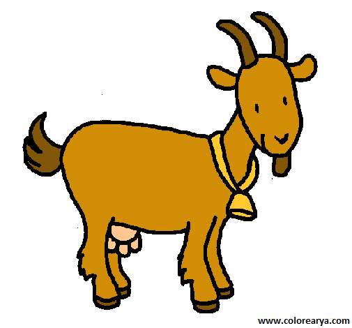 colorear cabra (1)
