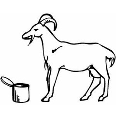 colorear cabra (3)