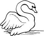 colorear cisne  (4)