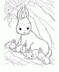 colorear conejo (3)