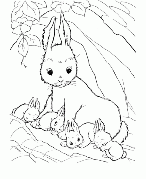 colorear conejo (3).gif
