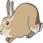 colorear conejo (2)