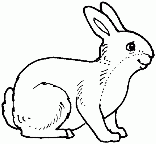 colorear conejo (5).gif