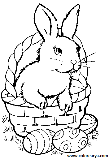colorear conejo (4)