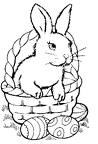 colorear conejo (4)
