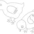 colorear gallina (3)