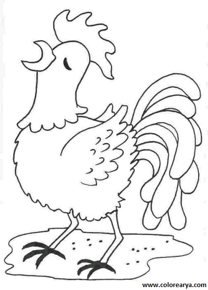 colorear gallina (4).jpg