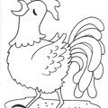 colorear gallina (4)