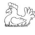 colorear gallina (6)