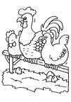 colorear gallina (14)