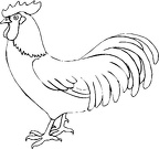 colorear gallina (20)