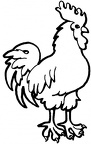 colorear gallina (65)