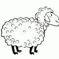 colorear oveja (3)