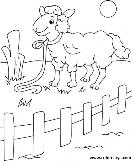 colorear oveja (5).jpg