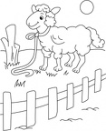 colorear oveja (5)