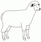 colorear oveja (8)