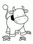 colorear vaca (9)
