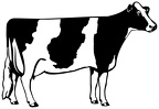 colorear vaca (9)