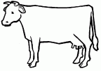 colorear vaca (20)