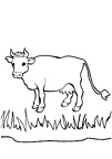 colorear vaca (25)