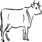 colorear vaca (2000)