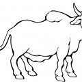 colorear toro (5)