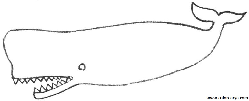 colorear ballena (6).jpg