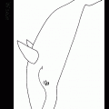 colorear ballena (8)