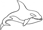 colorear ballena (18)