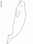 colorear ballena (19)