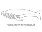 colorear ballena (22)