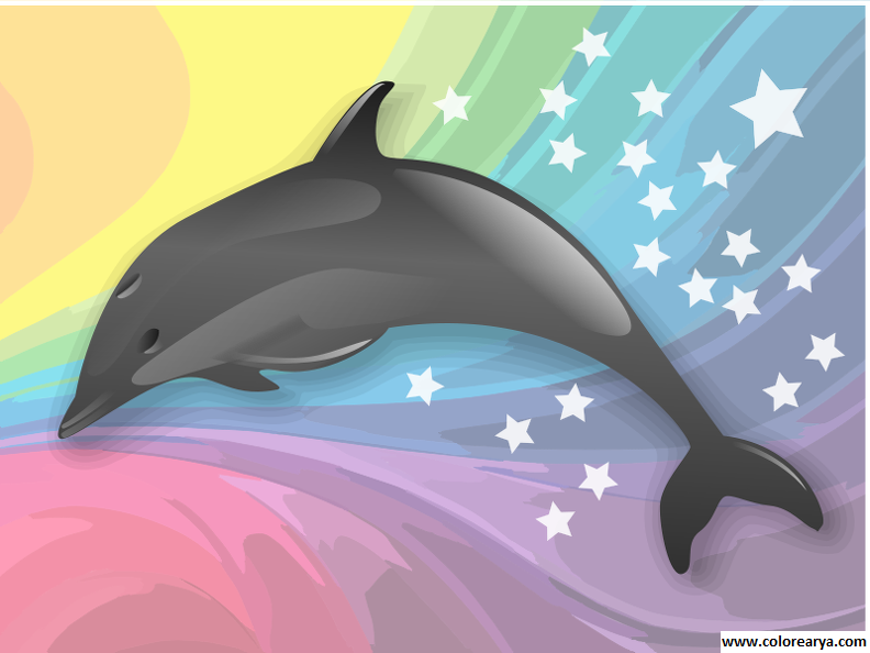 colorear delfin (2).png