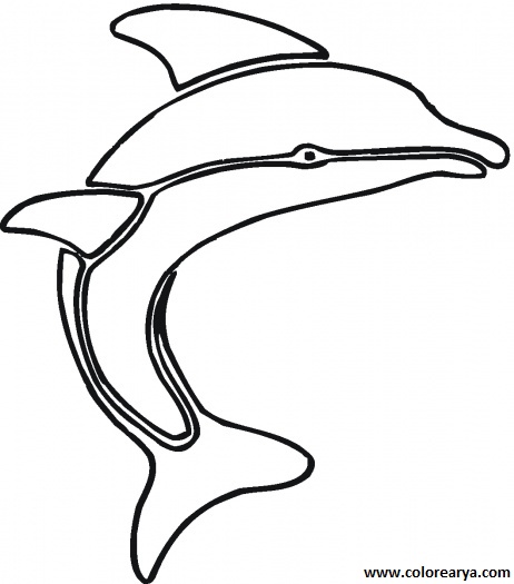 colorear delfin (3).gif