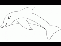 colorear delfin (5)