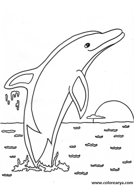 colorear delfin (7)