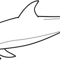 colorear delfin (9)