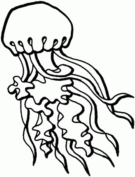 colorear medusa (3).gif