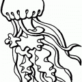 colorear medusa (3)