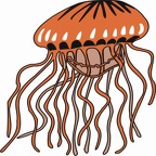 colorear medusa (7)